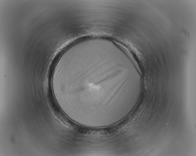 X0000112100488200909011127