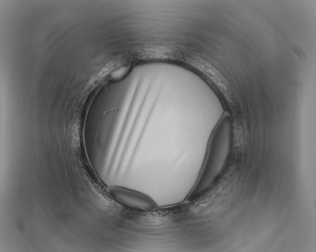 X0000112100489200909011127