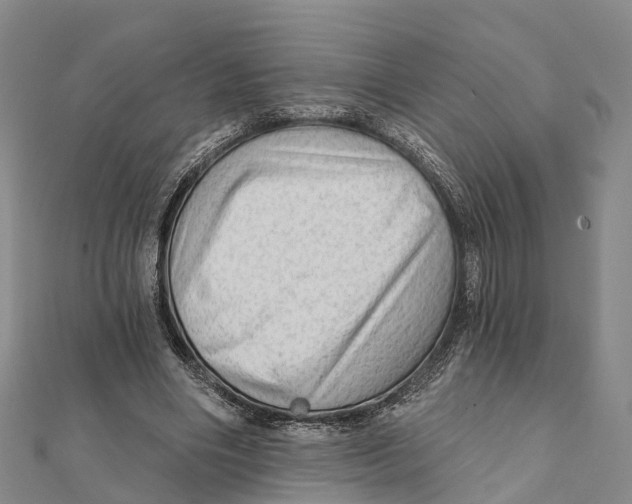 X0000112100490200909011127