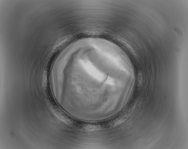 X0000112100494200909011127
