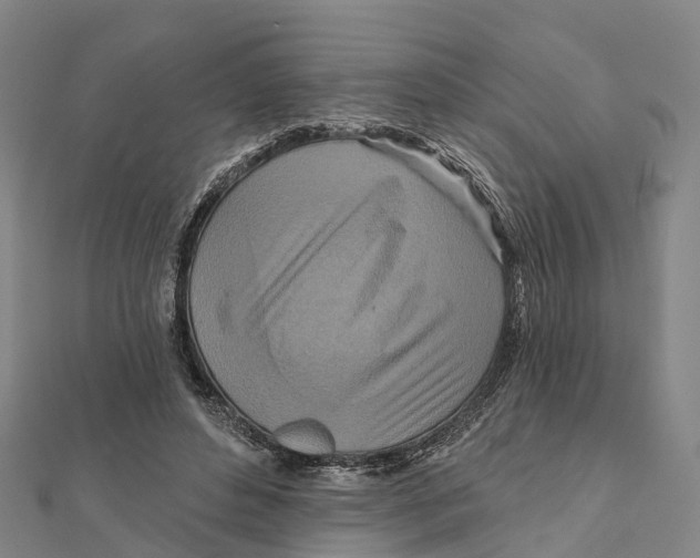 X0000112100496200909011127