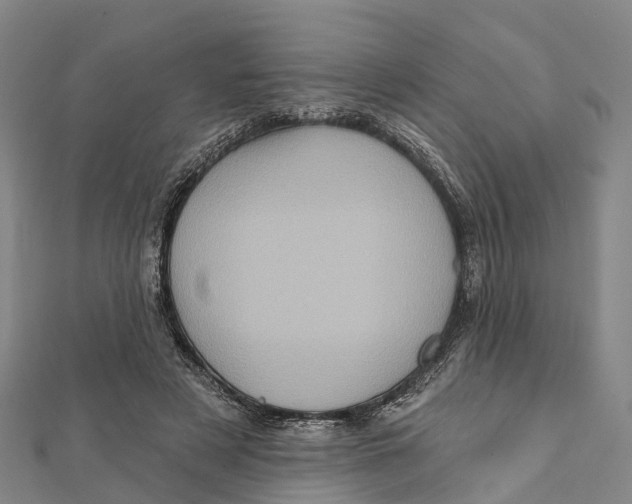 X0000112100497200909011127