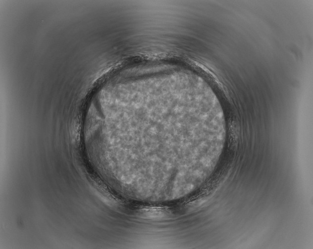 X0000112100499200909011127