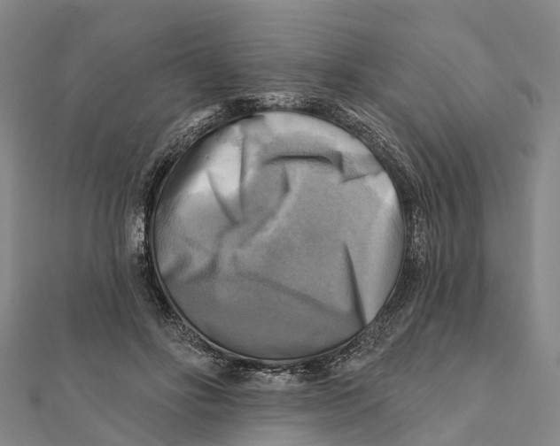 X0000112100502200909011127