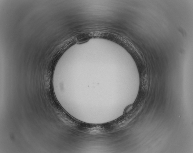 X0000112100505200909011127