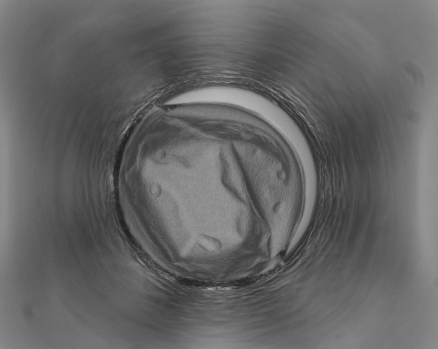 X0000112100508200909011127