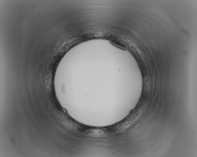 X0000112100509200909011127