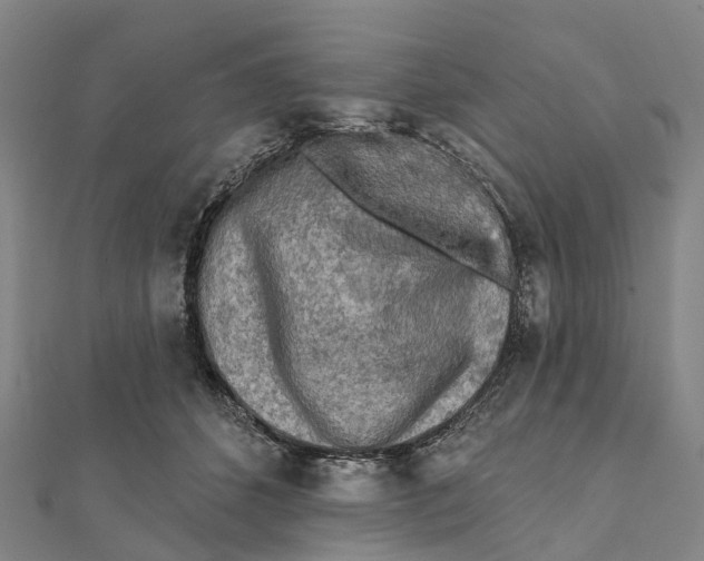 X0000112100512200909011127