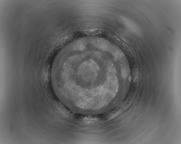 X0000112100515200909011127