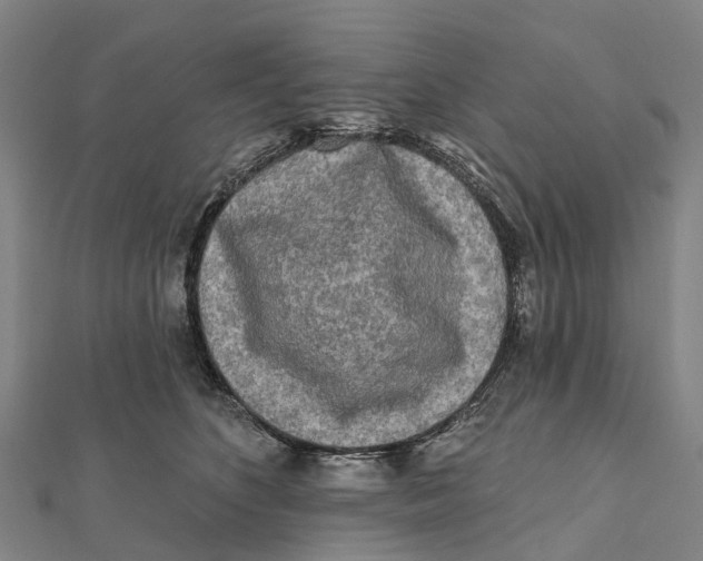 X0000112100516200909011127