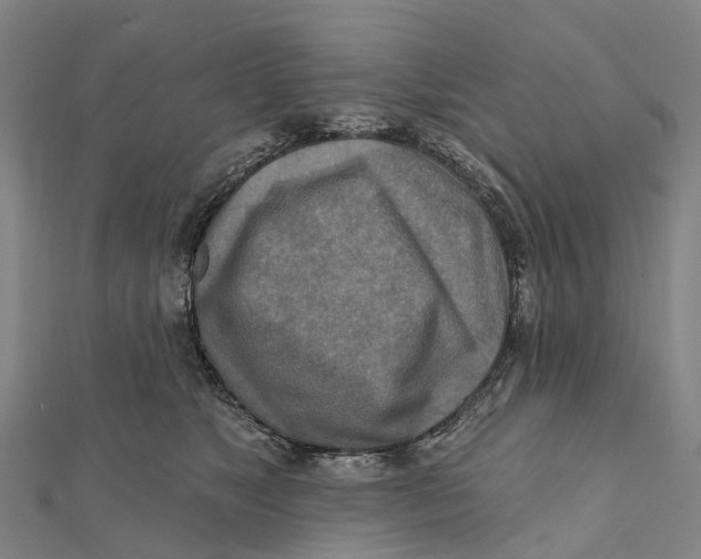 X0000112100517200909011127