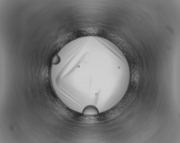 X0000112100518200909011127