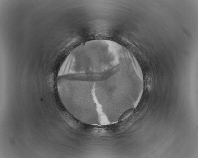 X0000112100519200909011127