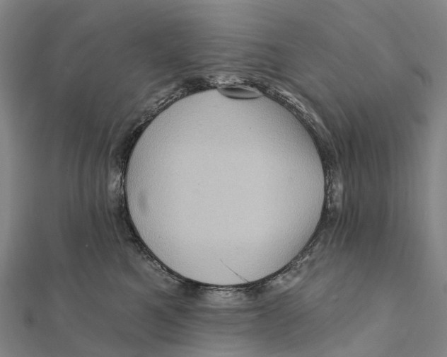 X0000112100521200909011127