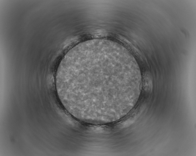 X0000112100523200909011127