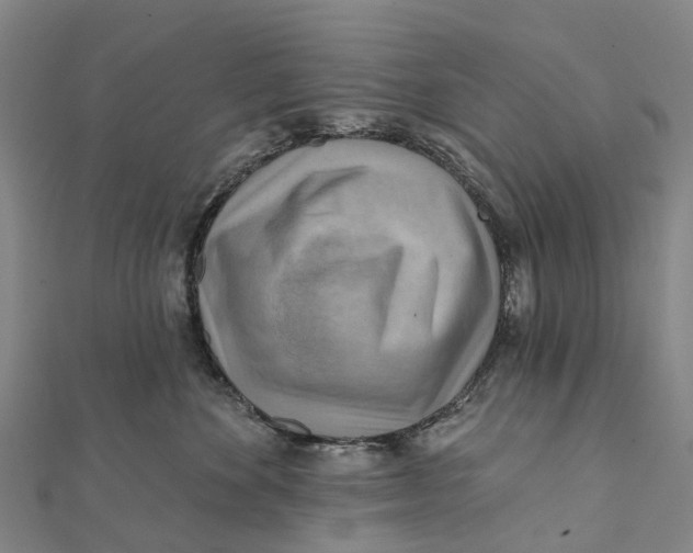 X0000112100524200909011127