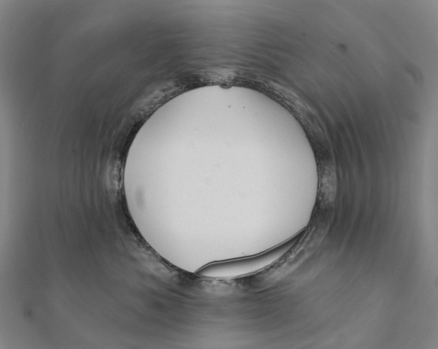 X0000112100525200909011127
