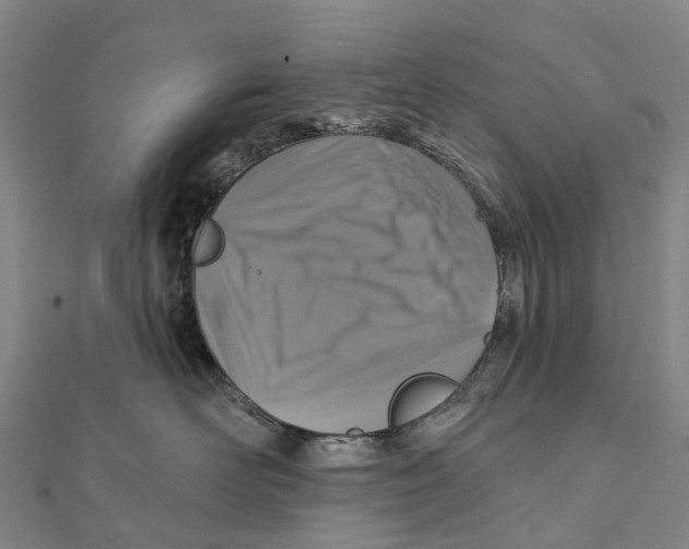 X0000112100526200909011127