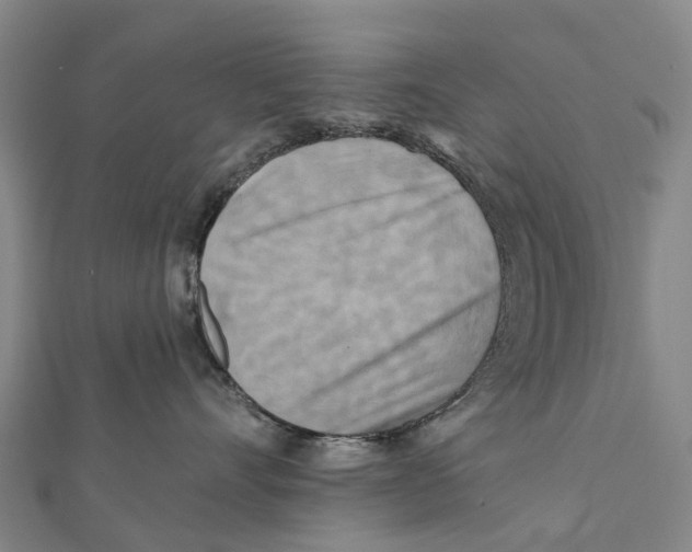 X0000112100528200909011127