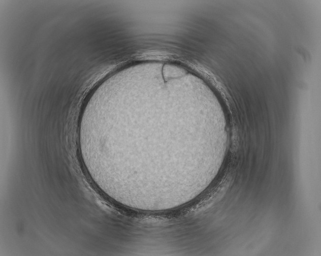 X0000112100529200909011126