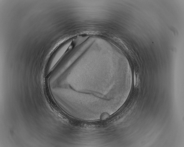 X0000112100531200909011126