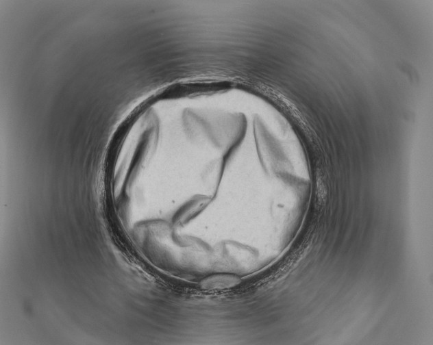 X0000112100532200909011126