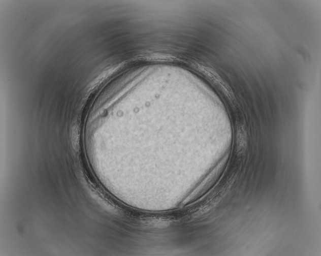 X0000112100533200909011126
