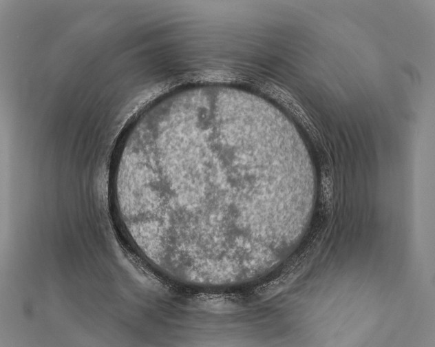 X0000112100534200909011126