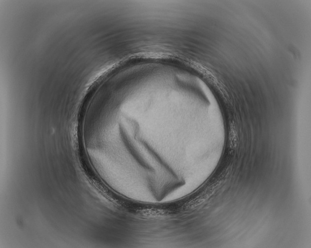 X0000112100535200909011126