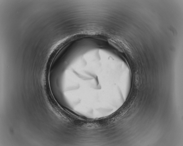 X0000112100536200909011126