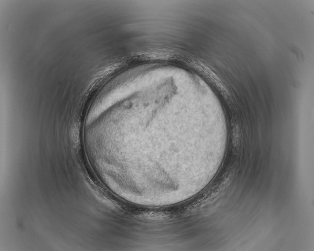 X0000112100537200909011126