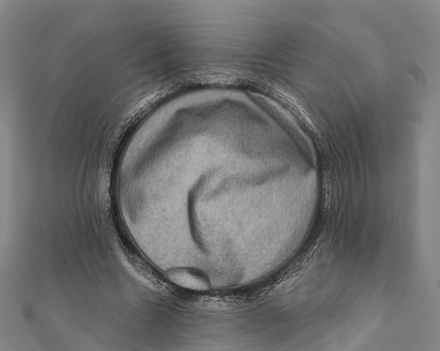 X0000112100538200909011126