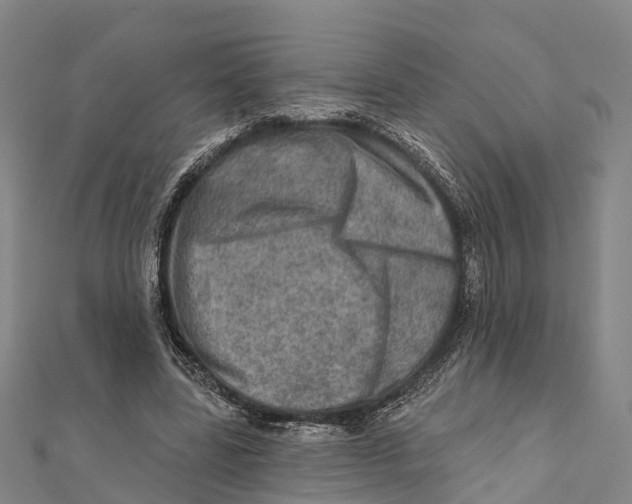 X0000112100539200909011126