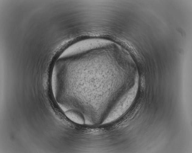 X0000112100540200909011126