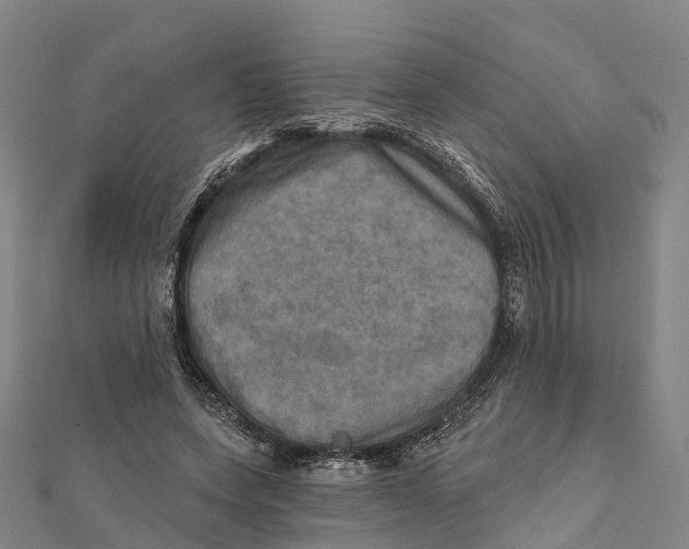 X0000112100543200909011126