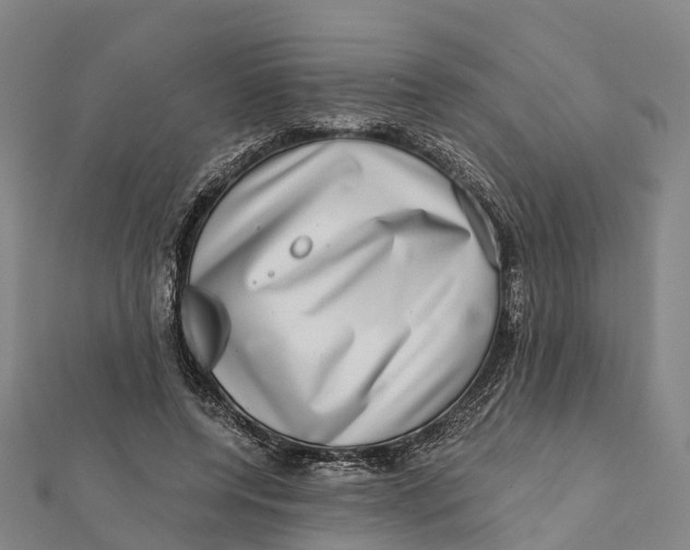 X0000112100544200909011126