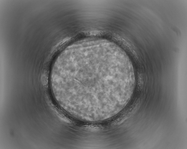 X0000112100545200909011126