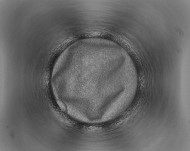 X0000112100546200909011126