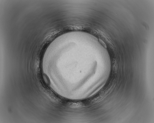 X0000112100548200909011126