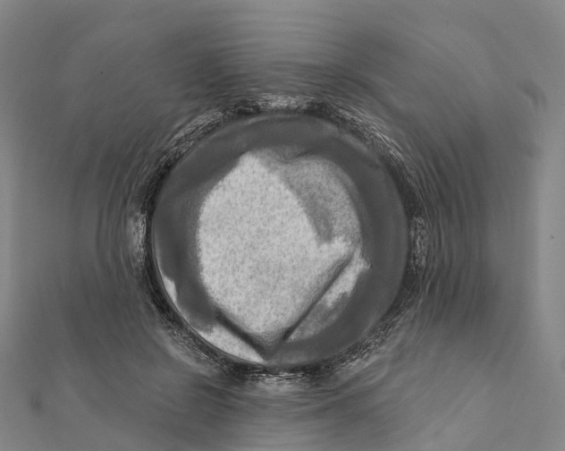 X0000112100550200909011126