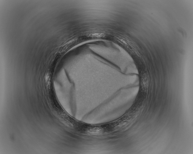 X0000112100551200909011126