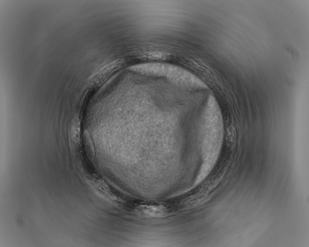 X0000112100552200909011126