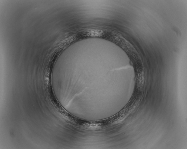 X0000112100553200909011126