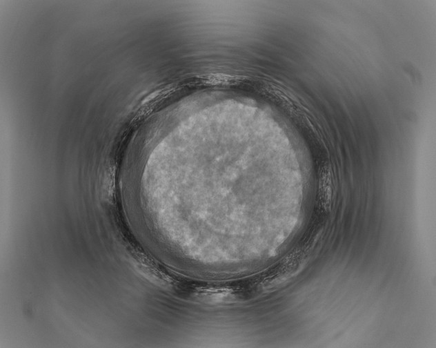 X0000112100554200909011126