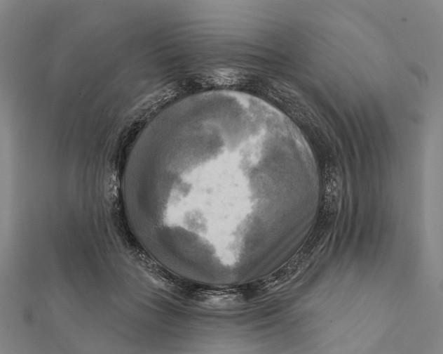 X0000112100555200909011126