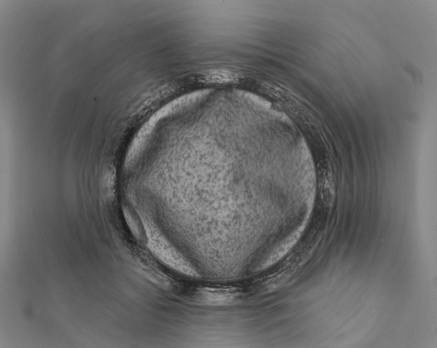 X0000112100556200909011126