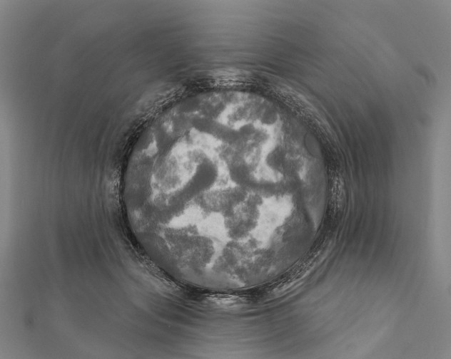 X0000112100557200909011126