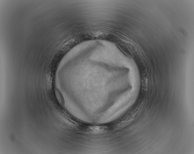 X0000112100558200909011126