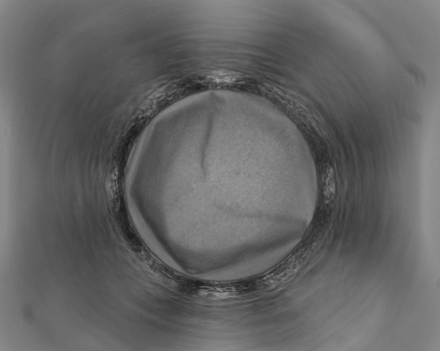 X0000112100559200909011126