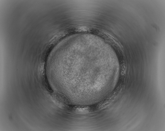 X0000112100560200909011126